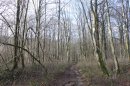 Bois du Sugnon